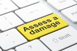 Assess the Damage to Recover from Identity Theft